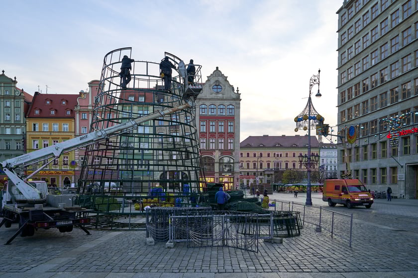 Montaż choinki na wrocławskim Rynku