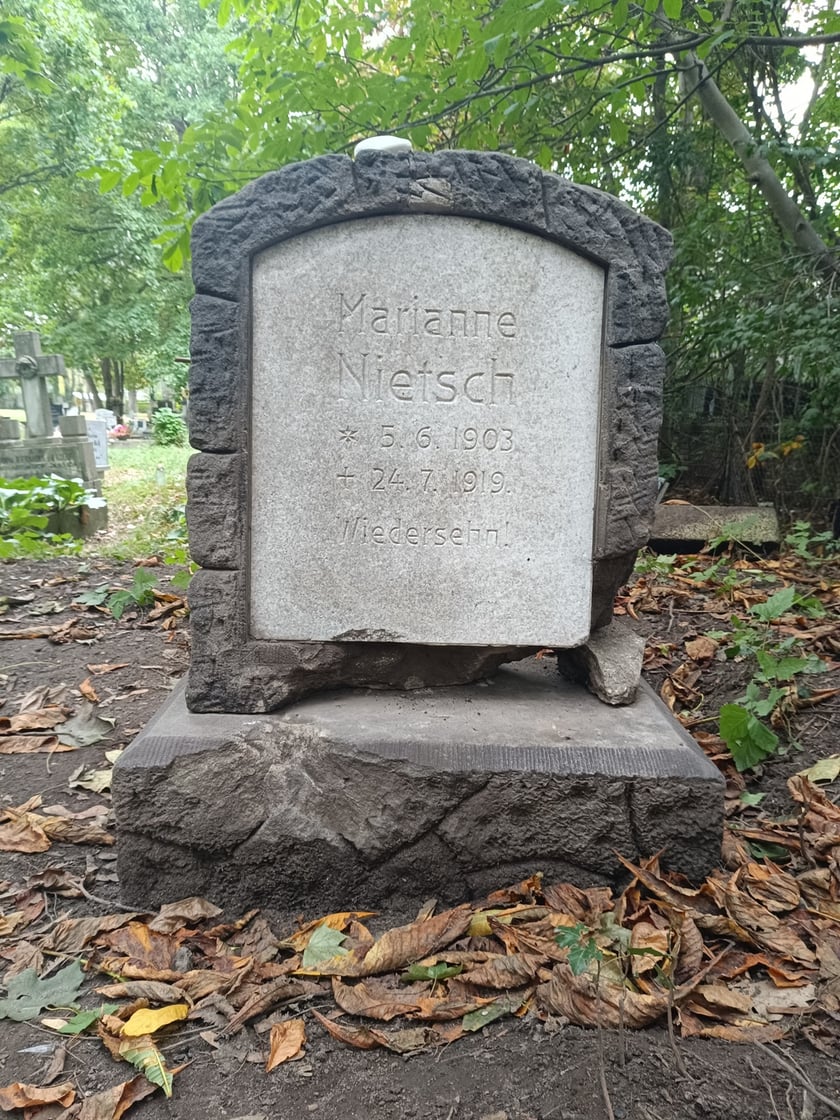 Nagrobek Marianny i prace przy jego oczyszczaniu