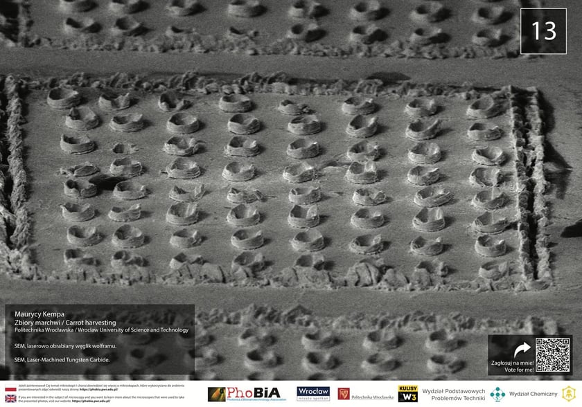 Węglik wolframu&nbsp;