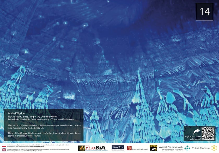 Poli(3-heksylotiofan) i N,N'-n-heksylo-naphtalenodiimidem