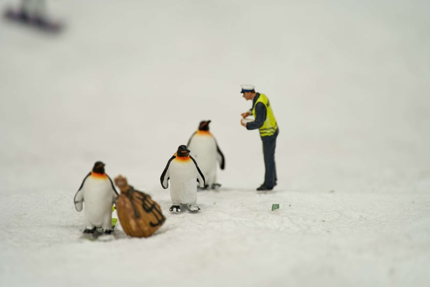 Sceny z życia Kolejkowa