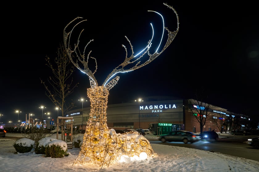 Iluminacje świąteczne wokół wrocławskich galerii