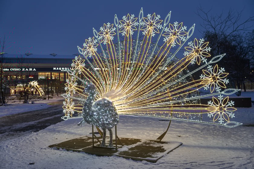 Iluminacje świąteczne wokół wrocławskich galerii
