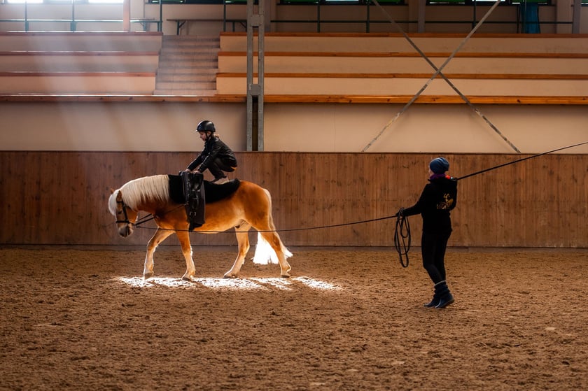 Ferie jeździeckie na Partynicach