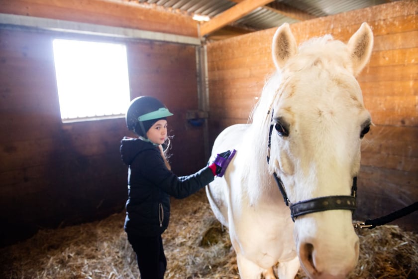 Ferie jeździeckie na Partynicach