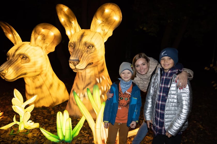 Garden of Lights z zoo Wrocław&nbsp;