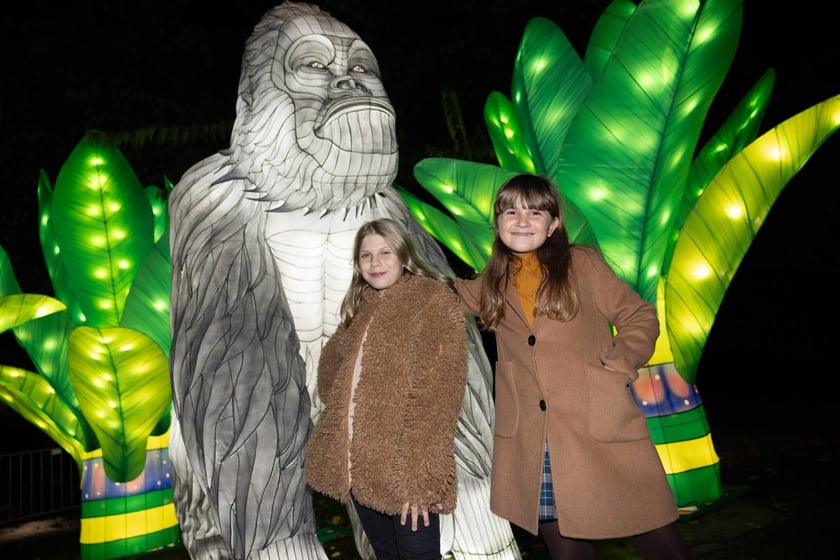 Garden of Lights z zoo Wrocław&nbsp;