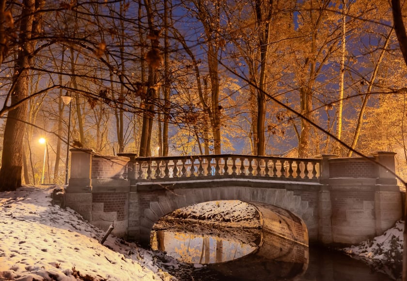 Mstek w parku. Okolica pałacu Korn&oacute;w w Pawłowicach wieczorem