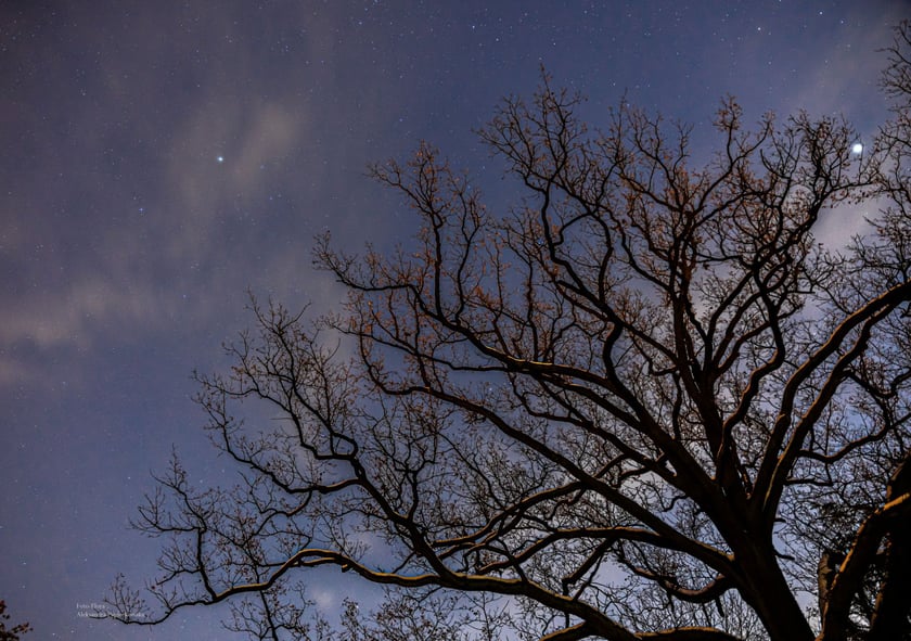 Pałac Korn&oacute;w okala malowniczy park, świetne miejsce na zimowy spacer