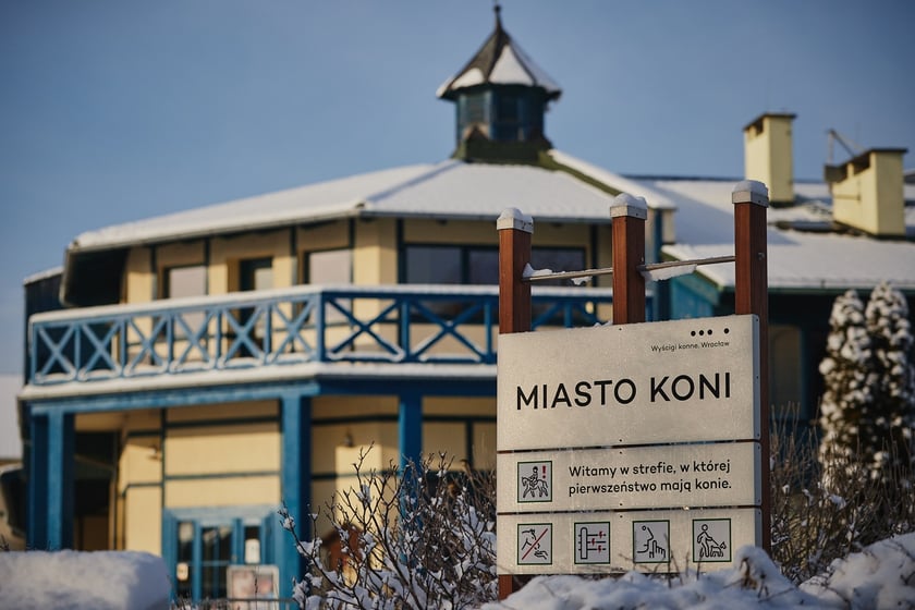 Ferie na Partynicach