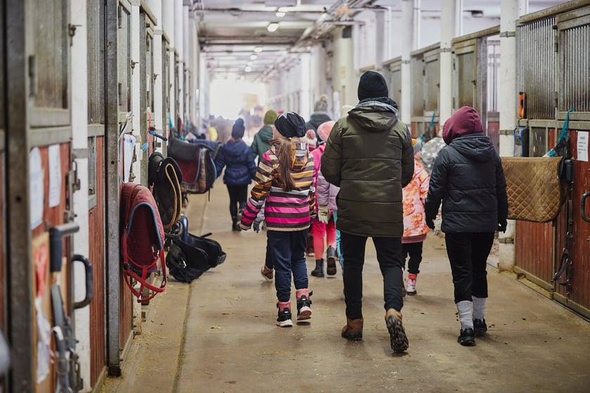 Ferie na Partynicach