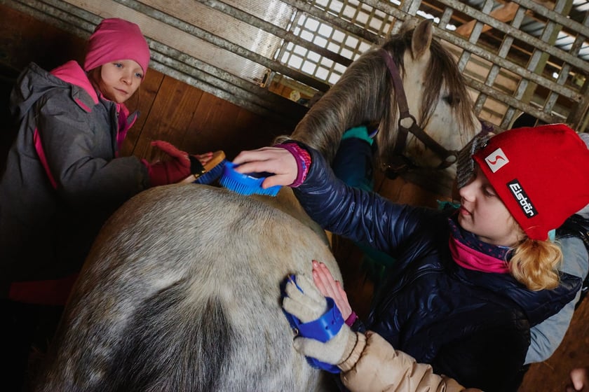 Ferie na Partynicach