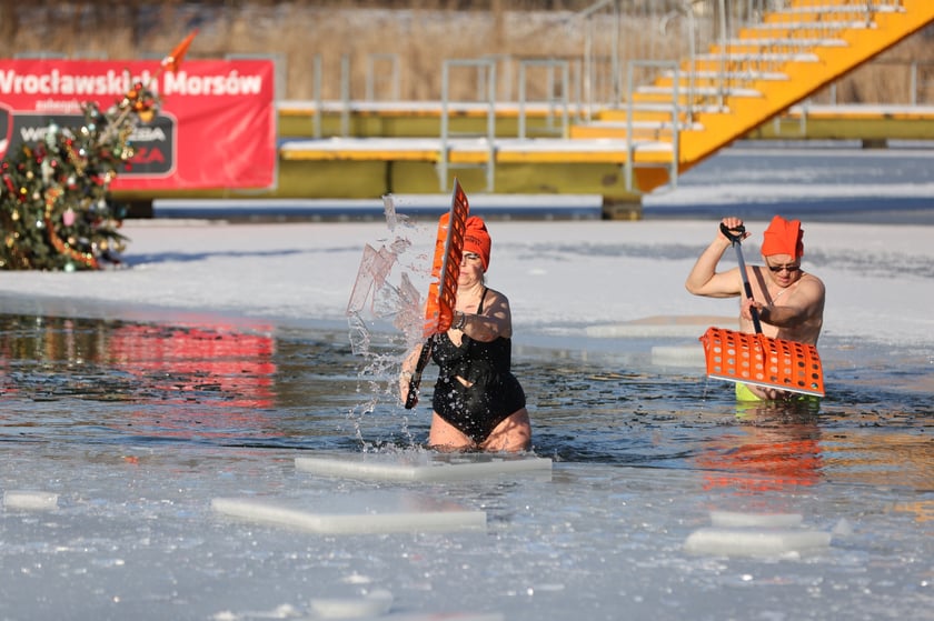 Wrocławskie Morsy świętują Dzień Babci i Dziadk