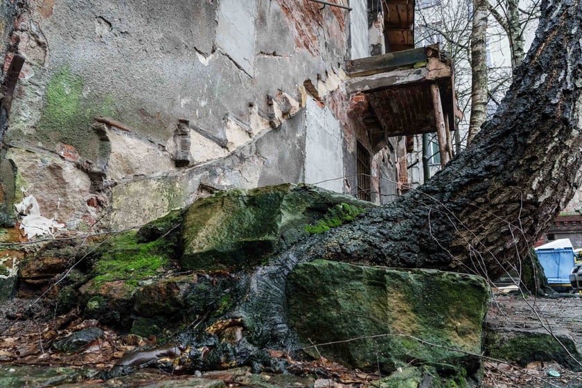 Dawna wytwórnia wódek i likierów Carla Schirdewana obecnie