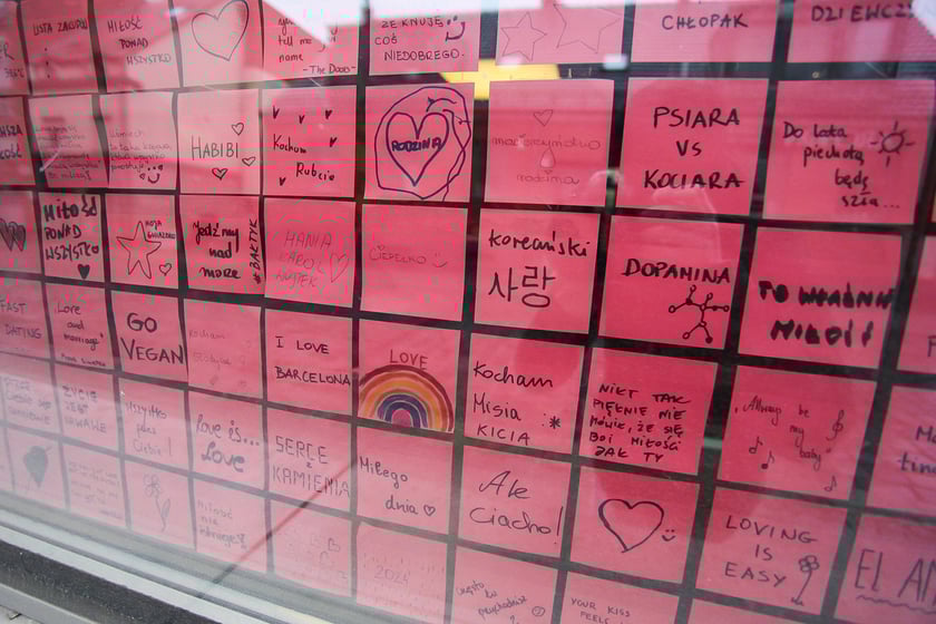 Wystwa w oknie Centrum Biblioteczno-Kulturalnego Fama (przy ul. Bolesława Krzywoustego 286)