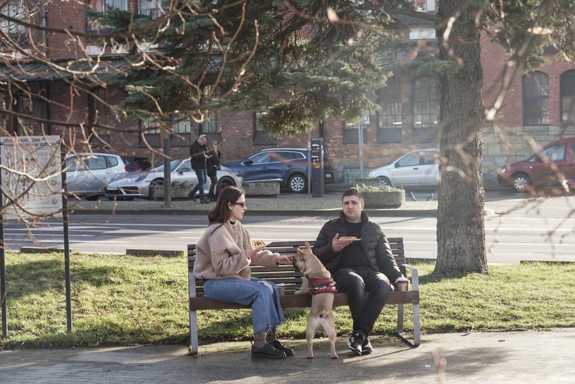 Ciepłe popołudnie we Wrocławiu, luty 2024