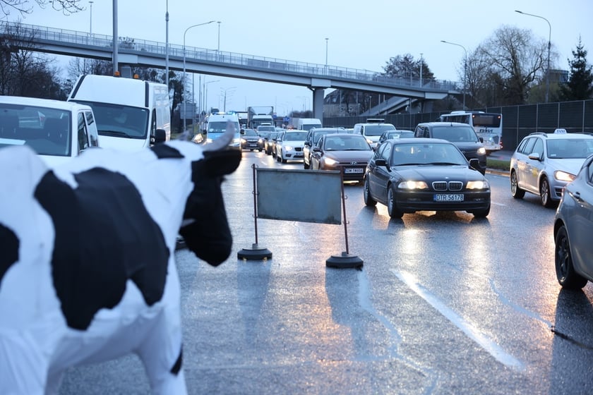 Rolnicy blokujący aleję Jana III Sobieskiego we Wrocławiu (poranek 12 lutego 2024)&nbsp;&nbsp;