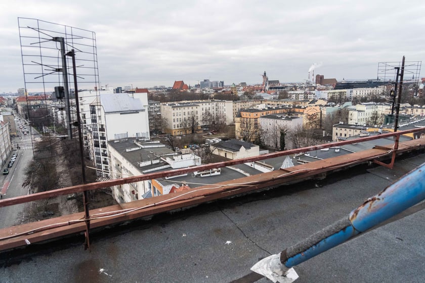 Widok z dachu Trzonolinowca