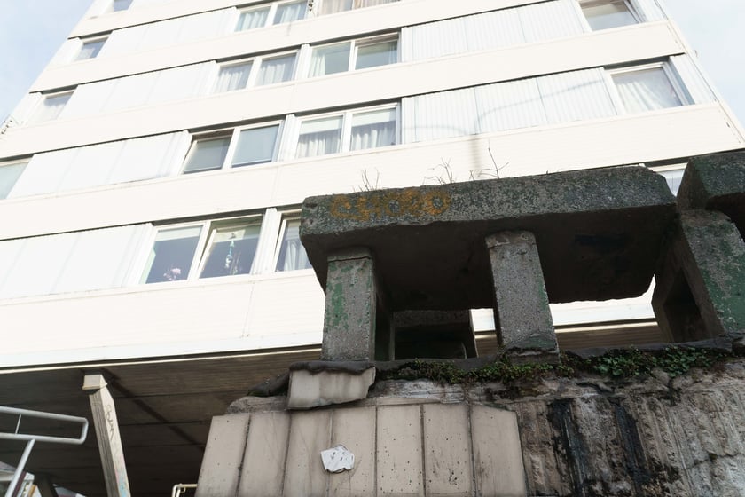 Dawne kwietniki Trzonolinowca