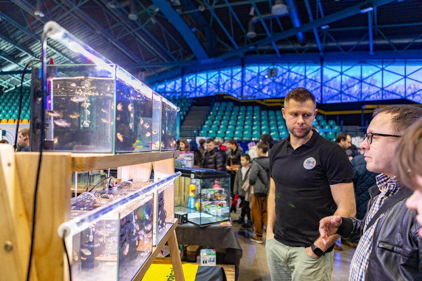 ZooEgzotyka Wrocław w Hali Orbita zebrała w niedzielę 18 lutego tłumy odwiedzających