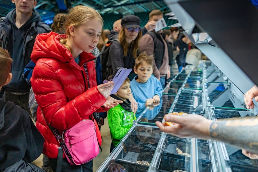 ZooEgzotyka Wrocław w Hali Orbita zebrała w niedzielę 18 lutego tłumy odwiedzających
