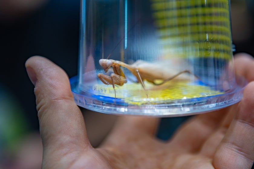 ZooEgzotyka Wrocław w Hali Orbita zebrała w niedzielę 18 lutego tłumy odwiedzających