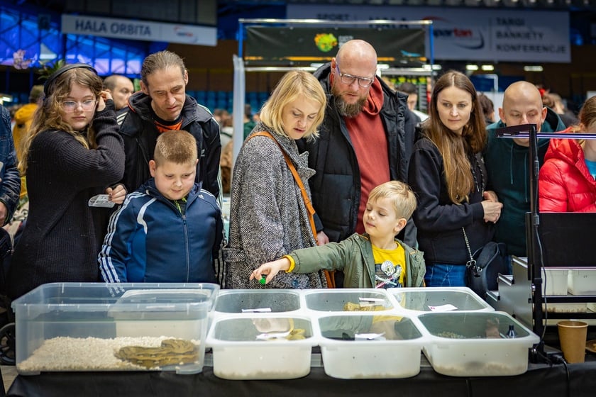 ZooEgzotyka Wrocław w Hali Orbita zebrała w niedzielę 18 lutego tłumy odwiedzających