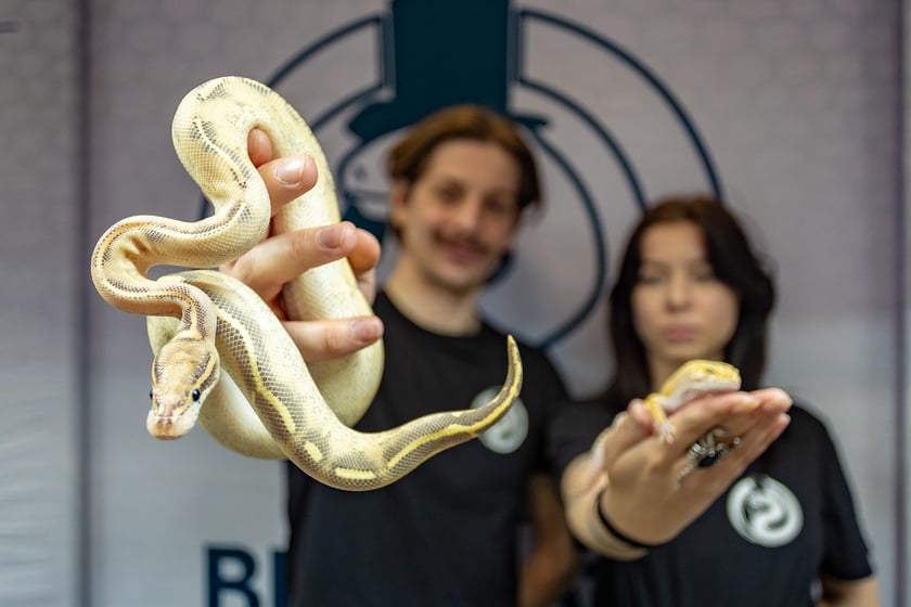 ZooEgzotyka Wrocław w Hali Orbita zebrała w niedzielę 18 lutego tłumy odwiedzających