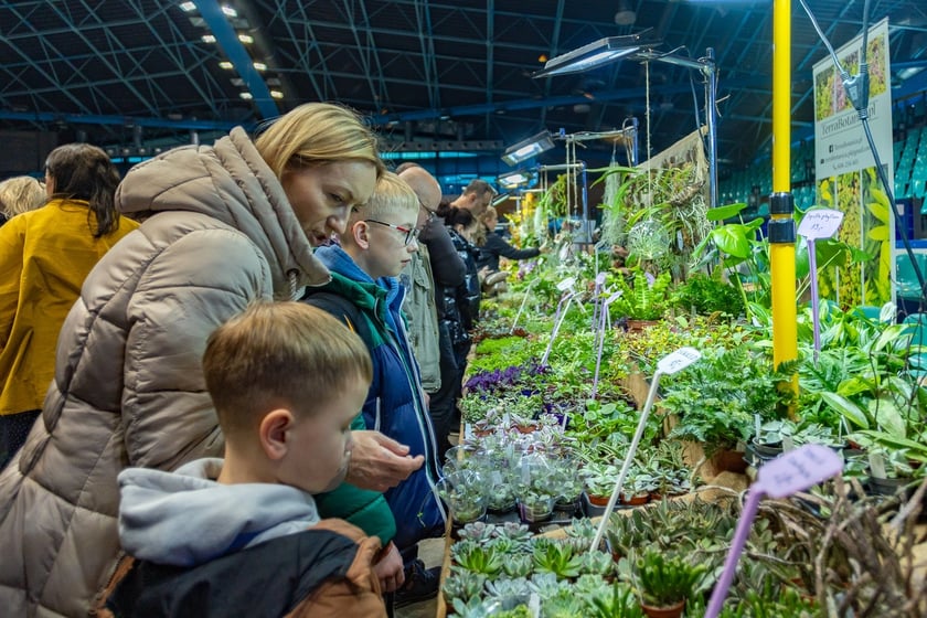 ZooEgzotyka Wrocław w Hali Orbita zebrała w niedzielę 18 lutego tłumy odwiedzających