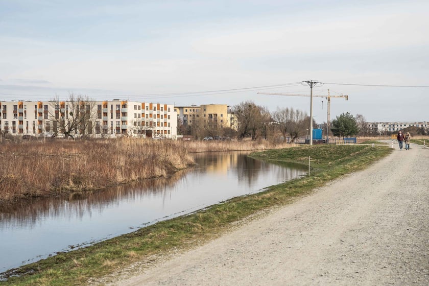 Woda z Widawy stojąca na niezabudowanych terenach we Wrocławiu (18 lutego 2024)