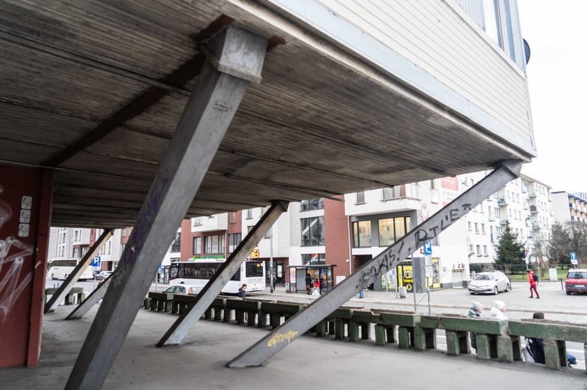 Trzonolinowiec (luty 2024)