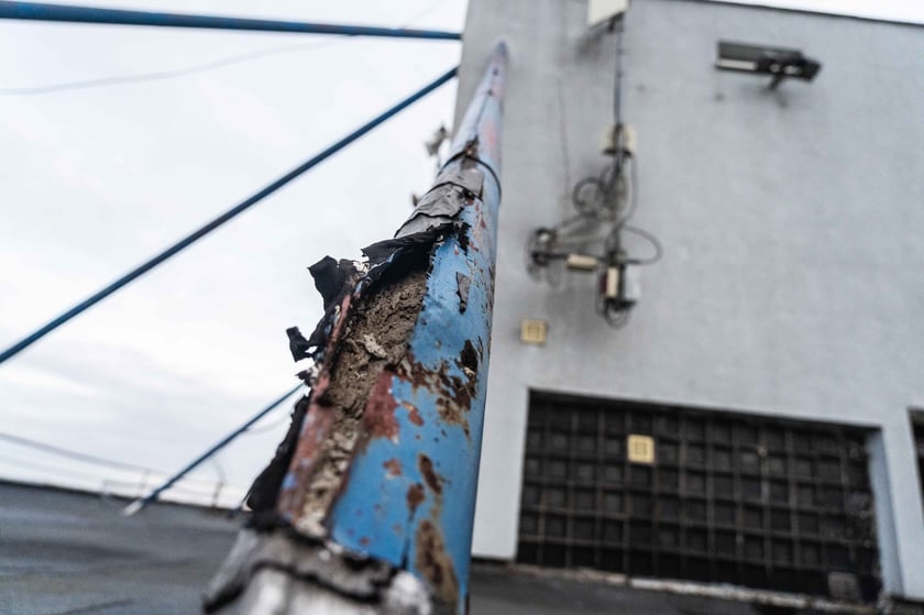 Trzonolinowiec (luty 2024)