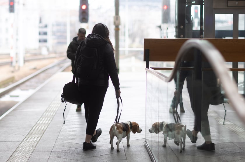 Dworzec Wrocław Główny