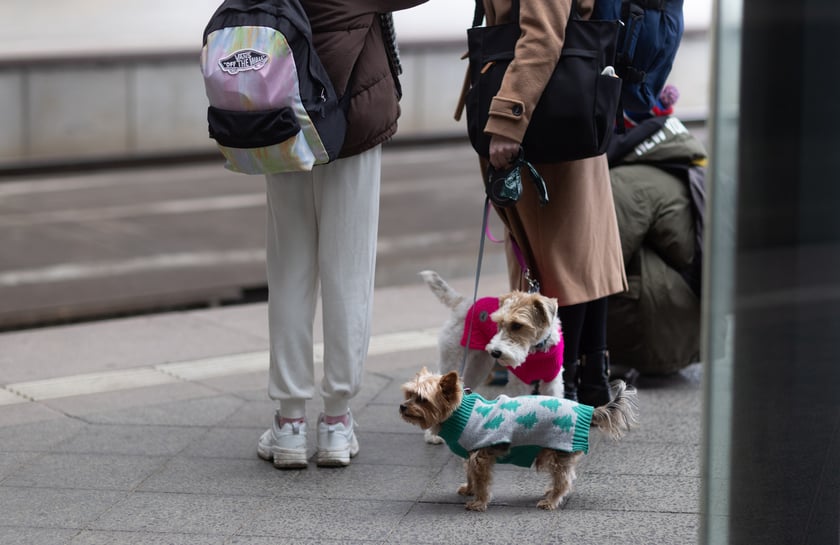 Dworzec Wrocław Główny