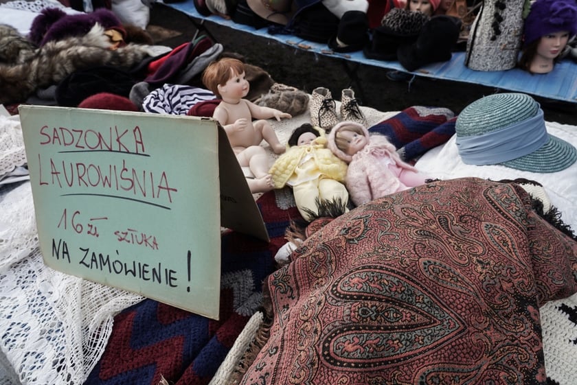 Targ na Młynie (25 lutego 2024)