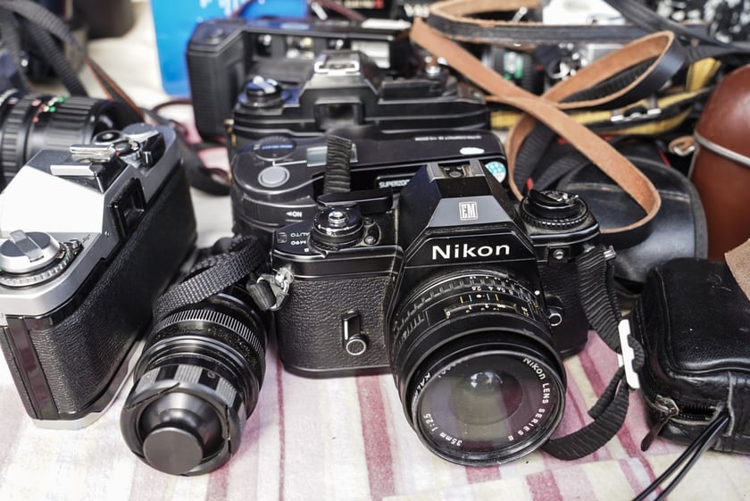 Targ na Młynie (25 lutego 2024)