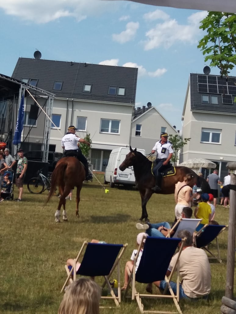Piknik zorganizowany przez Radę Osiedla Jagodno