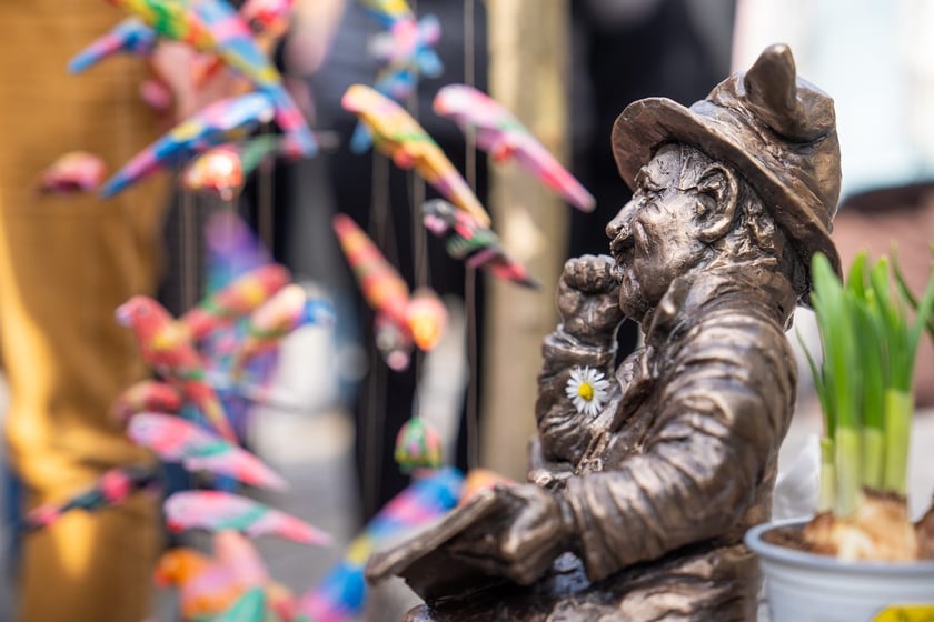 Odsłonięcie krasnala Stanisława Wolskiego