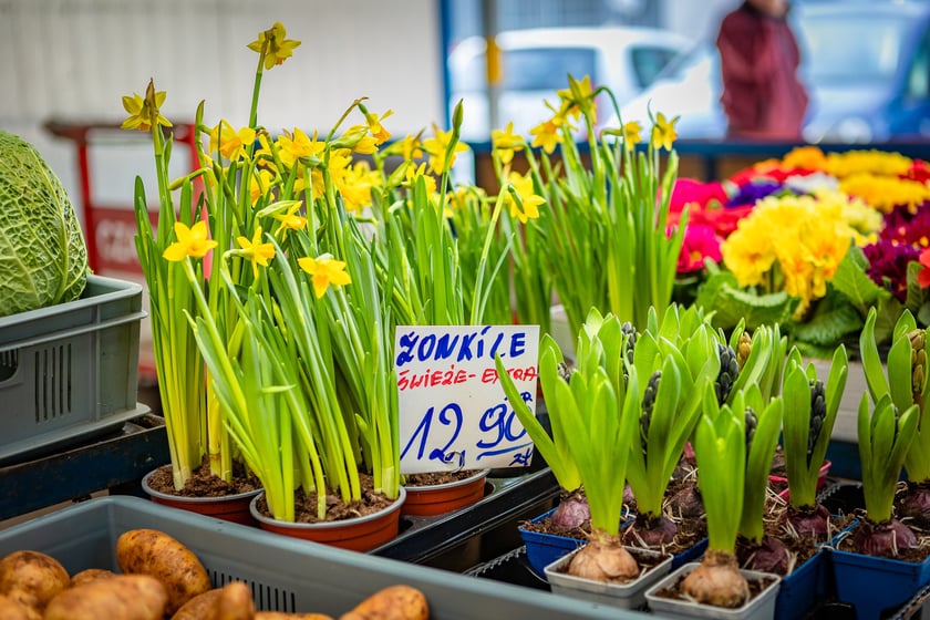Targowisko przy. ul. Radosnej we Wrocławiu
