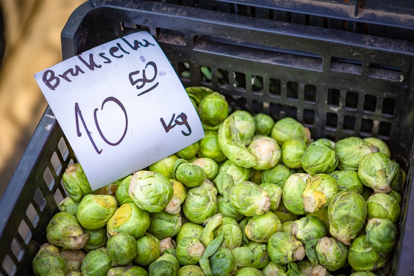 Targowisko przy. ul. Radosnej we Wrocławiu