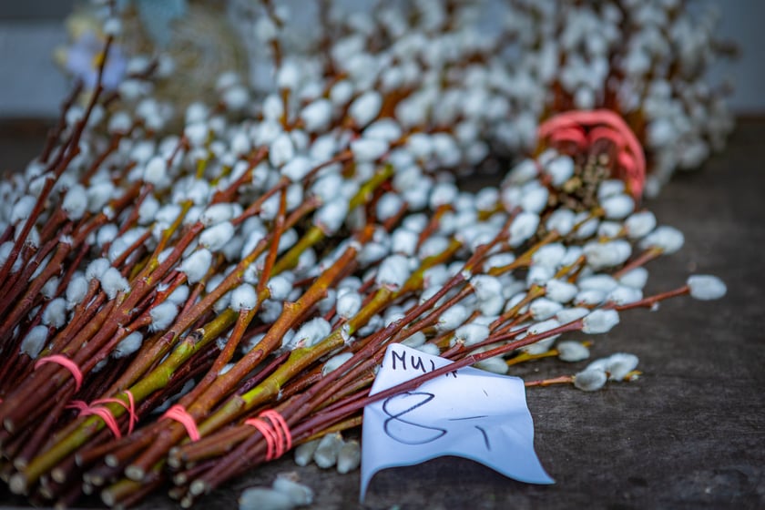 Targowisko przy. ul. Radosnej we Wrocławiu