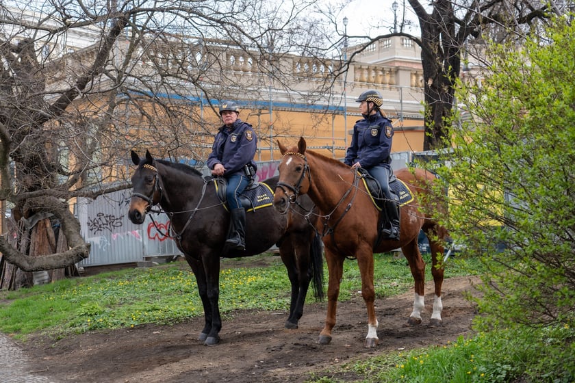 Dzień otwarty Bastionu Sakwowego, 23 marca 2024
