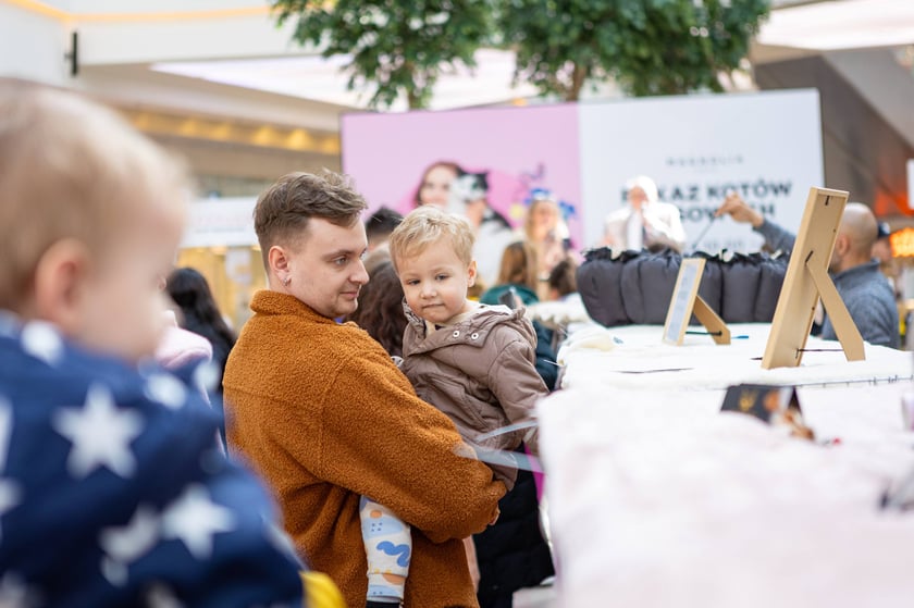 Prezentacja kotów rasowych w Magnolia Park - 24 marca