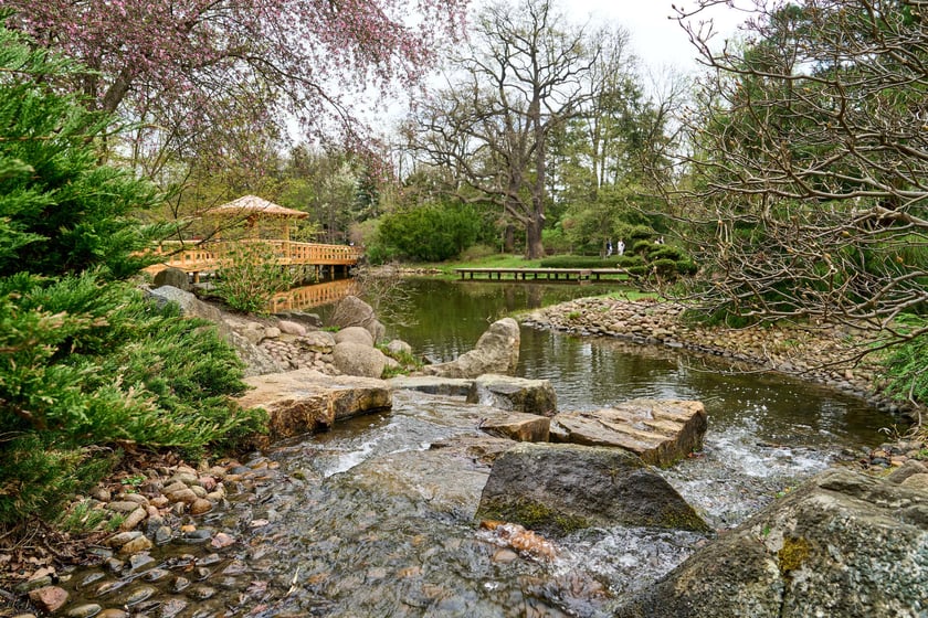 Ogród Japoński we Wrocławiu - 1 kwietnia 2024