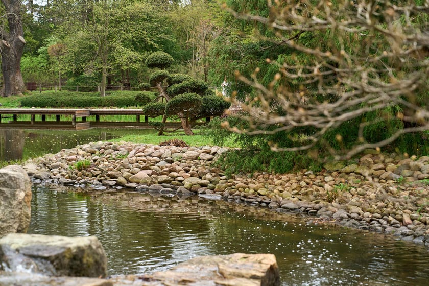 Ogród Japoński we Wrocławiu - 1 kwietnia 2024