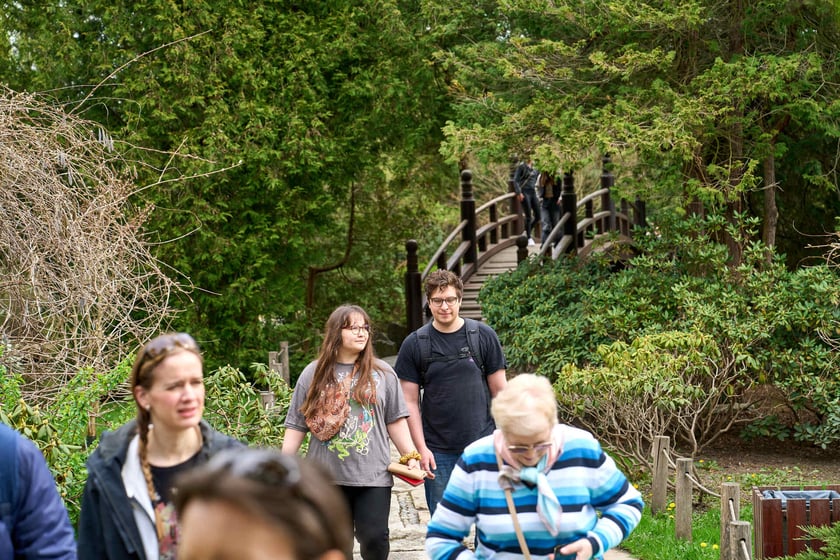 Ogród Japoński we Wrocławiu - 1 kwietnia 2024