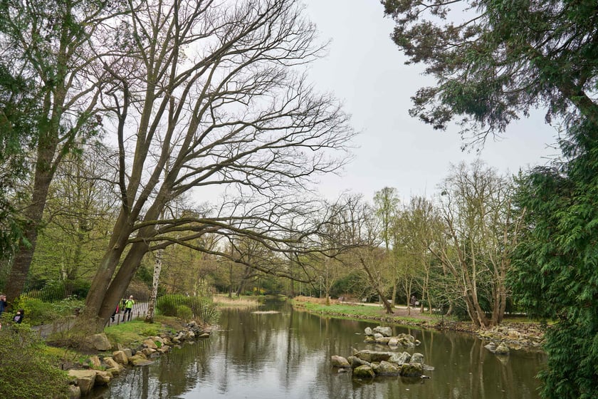 Ogród Japoński we Wrocławiu - 1 kwietnia 2024