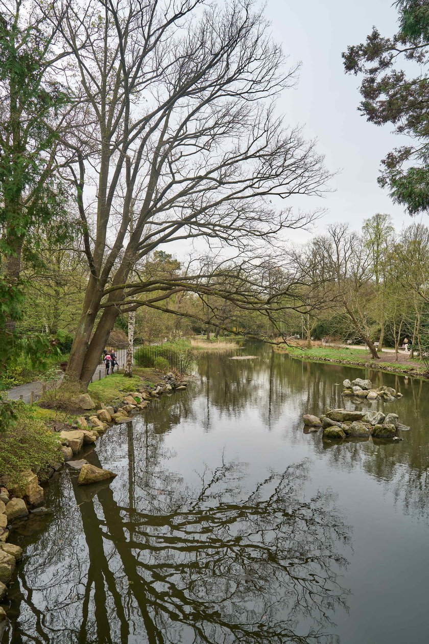 Ogród Japoński we Wrocławiu - 1 kwietnia 2024