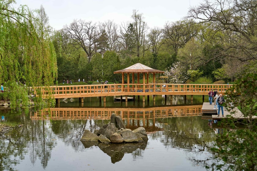 Ogród Japoński we Wrocławiu - 1 kwietnia 2024