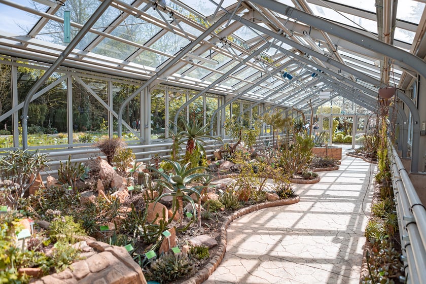 Wrocławski ogr&oacute;d botaniczny otwarty. Można go odwiedzać od 1 kwietnia do końca października.